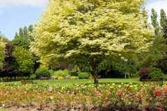 West Herts Crematorium_355