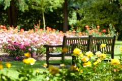 West Herts Crematorium_385