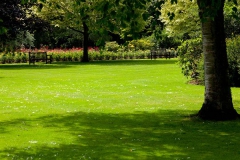 West Herts Crematorium_433