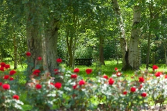West Herts Crematorium_479